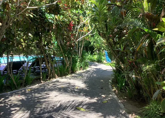Jungle Hideaway 1 - Garden View