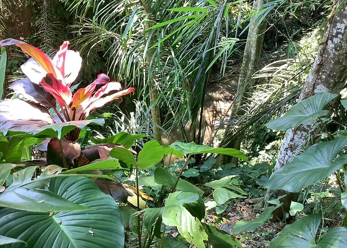 Jungle Hideaway 1 - Garden View Ferienhaus *