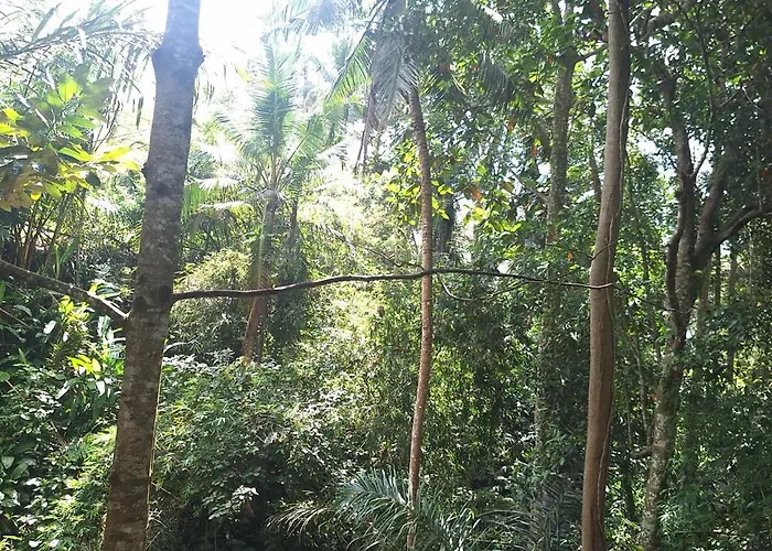 Jungle Hideaway 1 - Garden View *