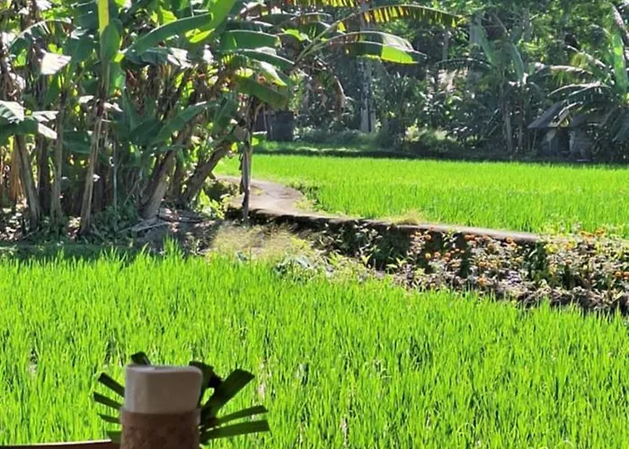 Jungle Hideaway 1 - Garden View Ubud