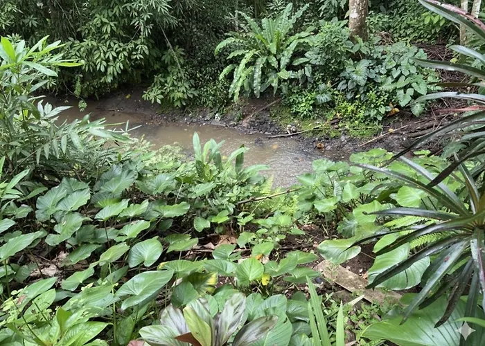 Jungle Hideaway 1 - Garden View Ubud