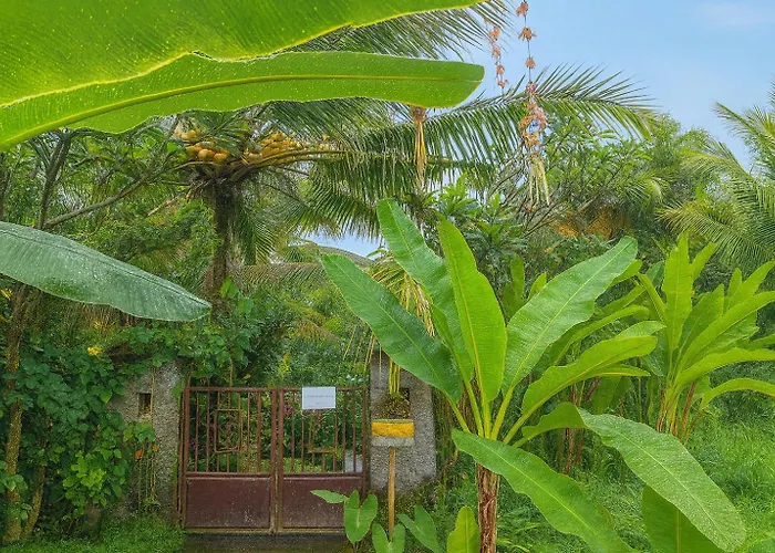 Jungle Hideaway 1 - Garden View Ferienhaus